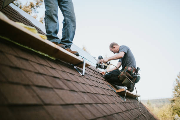 Residential Roof Replacement in Erin, TN